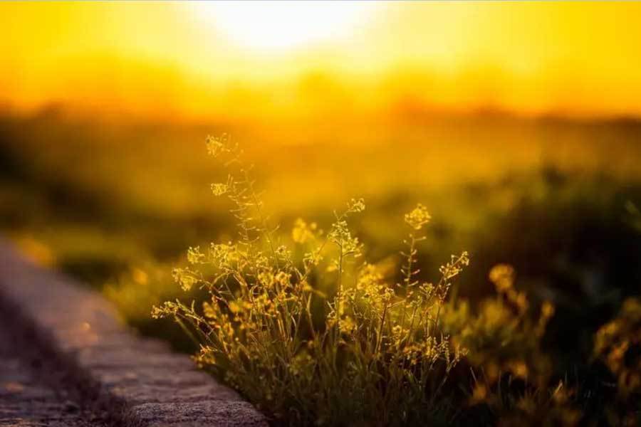 表健康监测功能升级小米发布新款智能手(图2) 表健康监测功能升级小米发布新款智能手(图2)